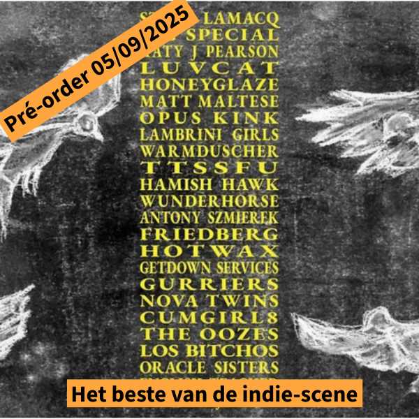 V/A - A Hideous Collective (2LP) (Clear vinyl)