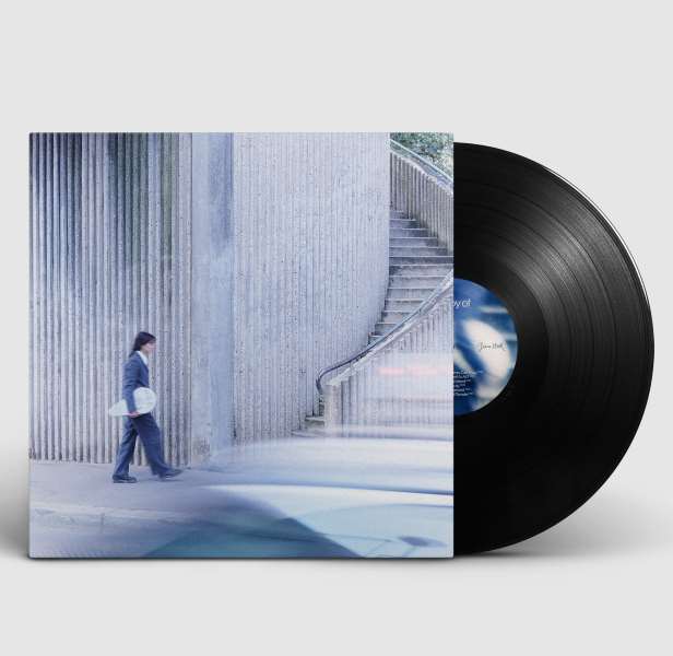 Bianca Steck - The Joy Of Coincidences (LP)