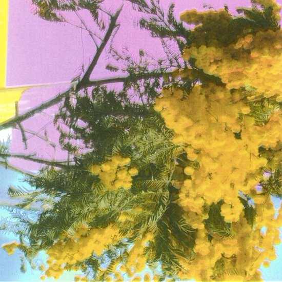Four Tet - Into Dust (12 inch)