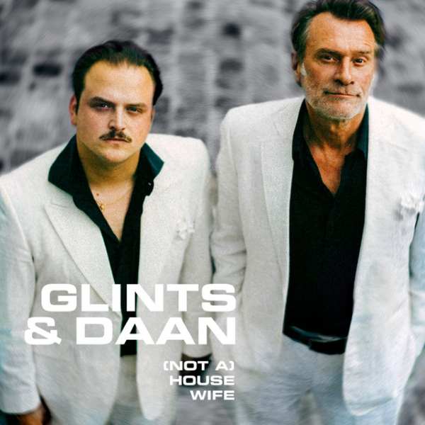 Glints & Daan - (Not A) Housewife (7 inch)