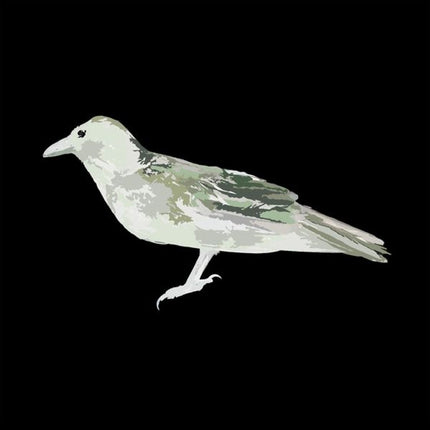 Green Crow Collective - Hard Drive Error (LP)
