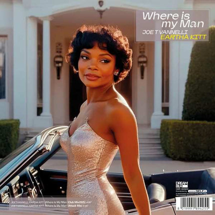 Joe T Vannelli - Sensation/Where Is My Man (12 inch)