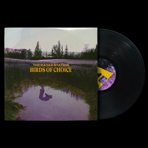 Radar Station - Birds Of Choice (LP)