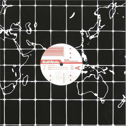 Salif Keita - Madan (Martin Solveig remix) (12 inch)
