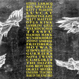 V/A - A Hideous Collective (2LP) (Clear vinyl)