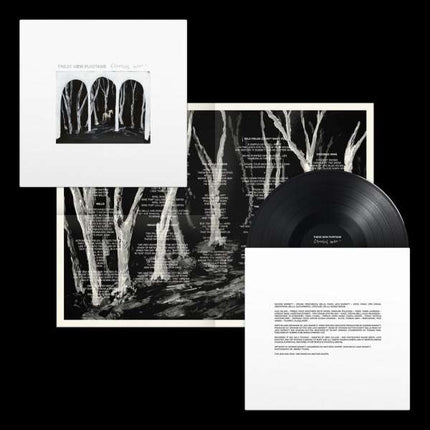 These New Puritans - Crooked Wing (LP)