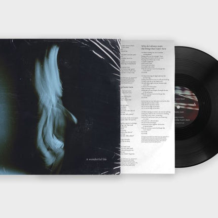 Tom Odell - A Wonderful Life (LP)