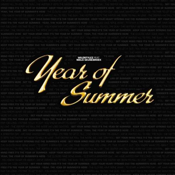 Wildstylez Feat Niels Geusebroek - Year Of Summer (10 inch) (RSD25)