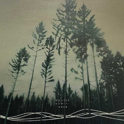 Wouter Dewit - Hold (LP)