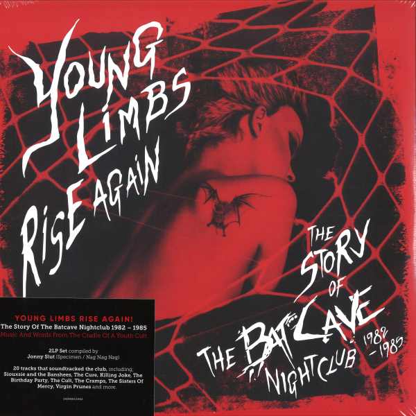 V/A - Young Limbs Rise Again  (2LP)