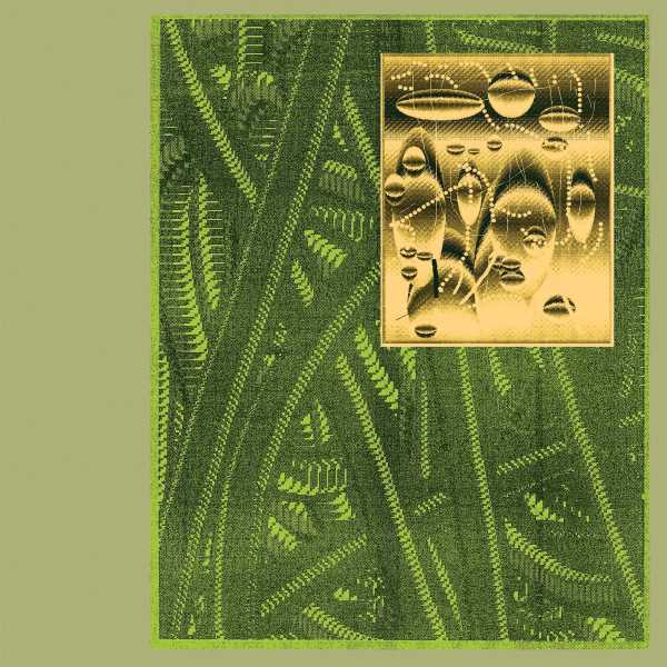 De Beren Gieren - Less Is Endless (2LP)