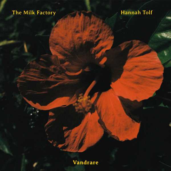 Milk Factory & Hannah Tolf - Vandrare (LP) (Green vinyl)