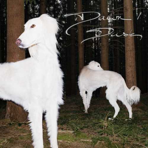 Sam De Nef - Dawn/Dusk (LP)