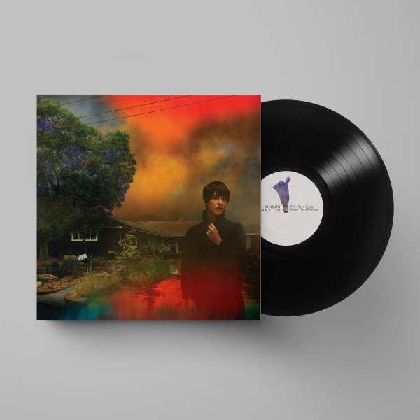 Sharon Van Etten - We've Been Going Abouth This All Wrong (LP)
